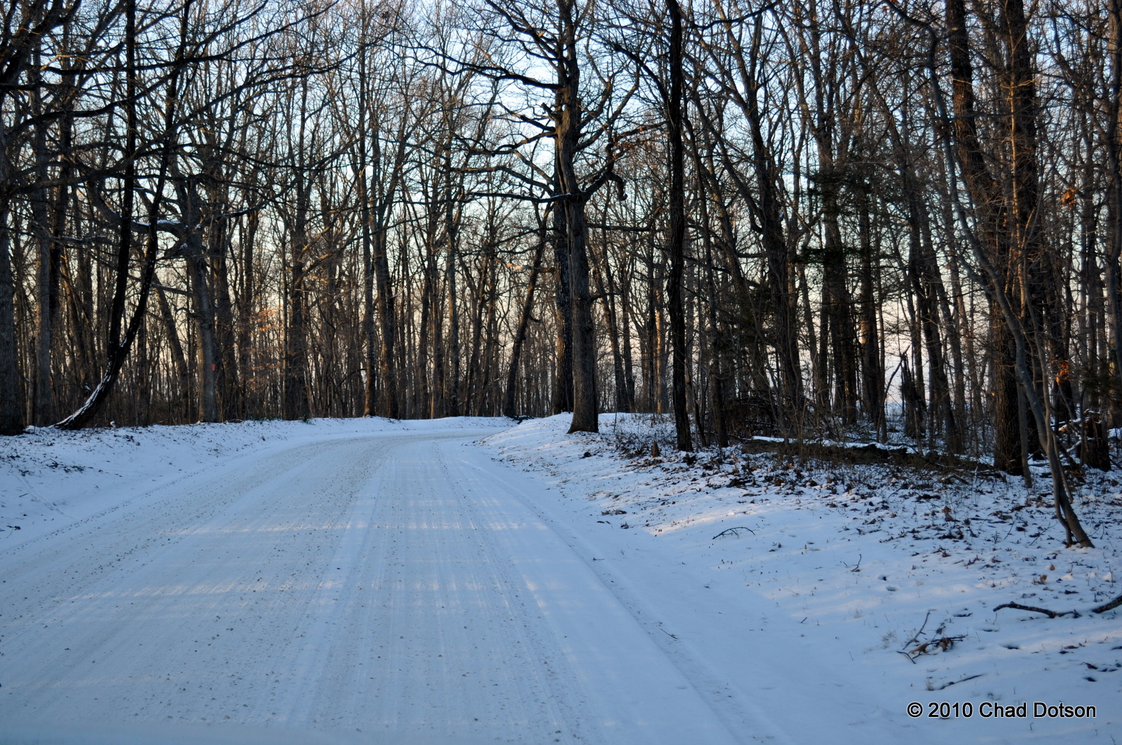 Sewanee Snow January 10, 2010 Chad Dotson